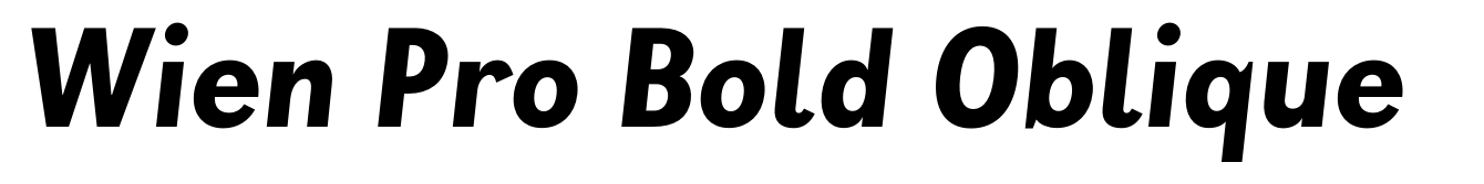 Wien Pro Bold Oblique